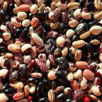Dry Pole Bean Seeds- Mikes colorful mix, Pole bean Assortment- 25 + Seeds