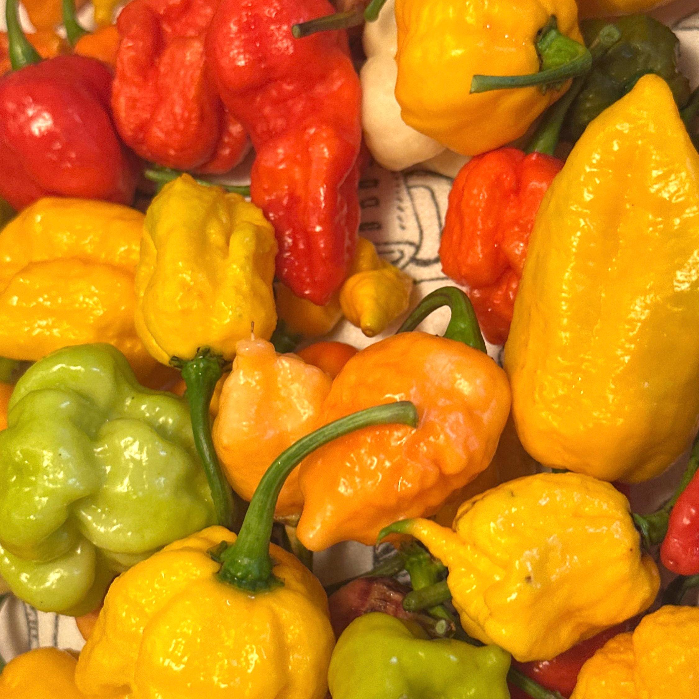 Hot Pepper Powder - 1 Ounce - Very Hot Pepper Spices, Cooking Spices