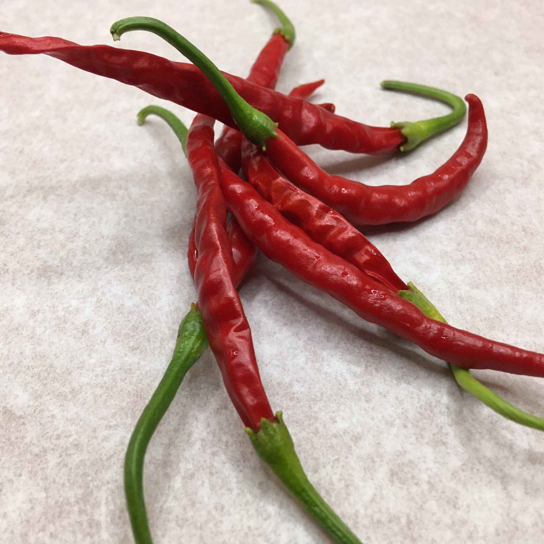 Thai Hot Pepper Seeds -   20+ Hot Pepper Seeds