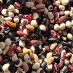 Dry Pole Bean Seeds- Mikes colorful mix, Pole bean Assortment- 25 + Seeds