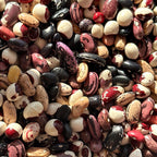 Dry Pole Bean Seeds- Mikes colorful mix, Pole bean Assortment- 25 + Seeds