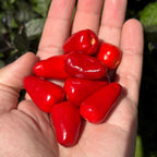 Purple Wild Brazil Cross F2 Seeds - Hot Pepper (20+ Seeds)