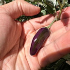 Purple Cacho White Leaf Pepper Seeds -   20+ Pepper Seeds