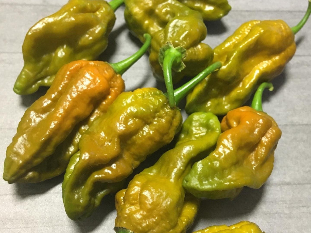 Superhot Pepper Seed Variety Pack: 25+ Unlabeled Mixed Rare Seeds