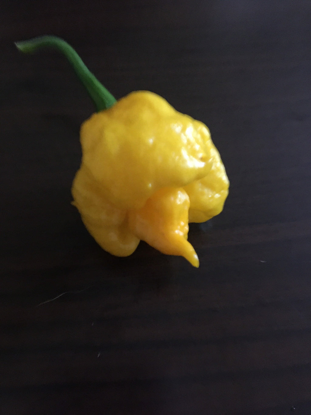 Yellow Moruga  Cross Pepper Seeds  -  20+ Hot Pepper Seeds