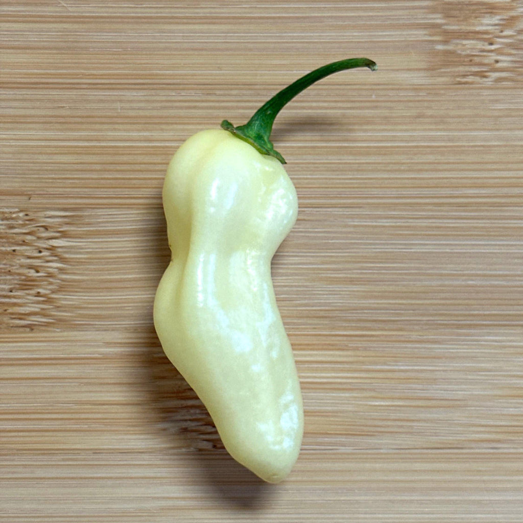 White Habanero Pepper Seeds -   20+ Hot Pepper Seeds
