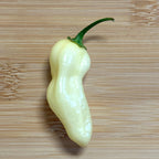 White Habanero Pepper Seeds -   20+ Hot Pepper Seeds