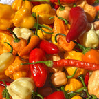 Mixed Rare Pepper Seed Variety Pack Unlabeled Seeds   -  40+ Pepper Seeds