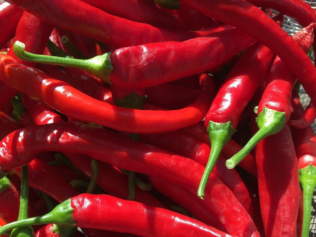 Long Cayenne Pepper Seeds - Hot & Spicy (20+ Seeds)