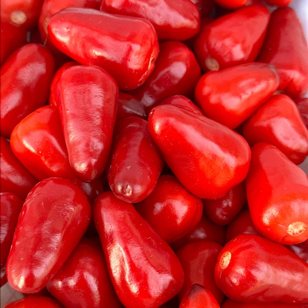 Purple Wild Brazil Cross F2 Seeds - Hot Pepper (20+ Seeds)