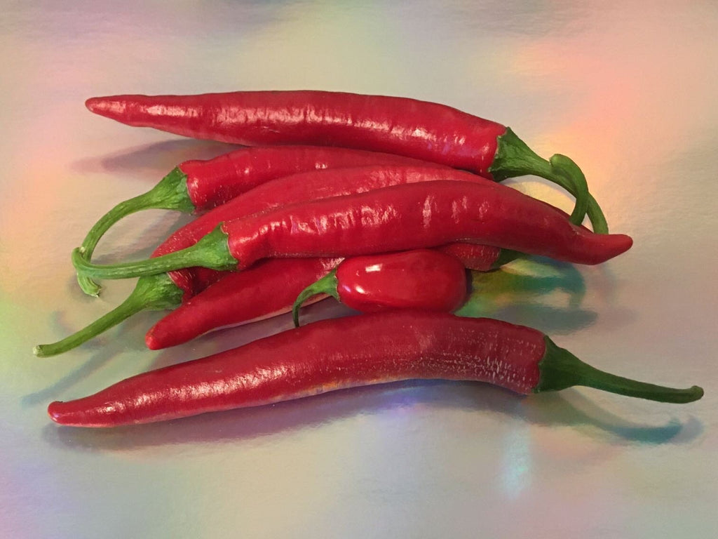Fat Cayenne PepperSeeds -   20+ Hot Pepper Seeds