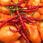 Thai Hot Pepper Seeds -   20+ Hot Pepper Seeds