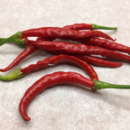 Thai Hot Pepper Seeds -   20+ Hot Pepper Seeds