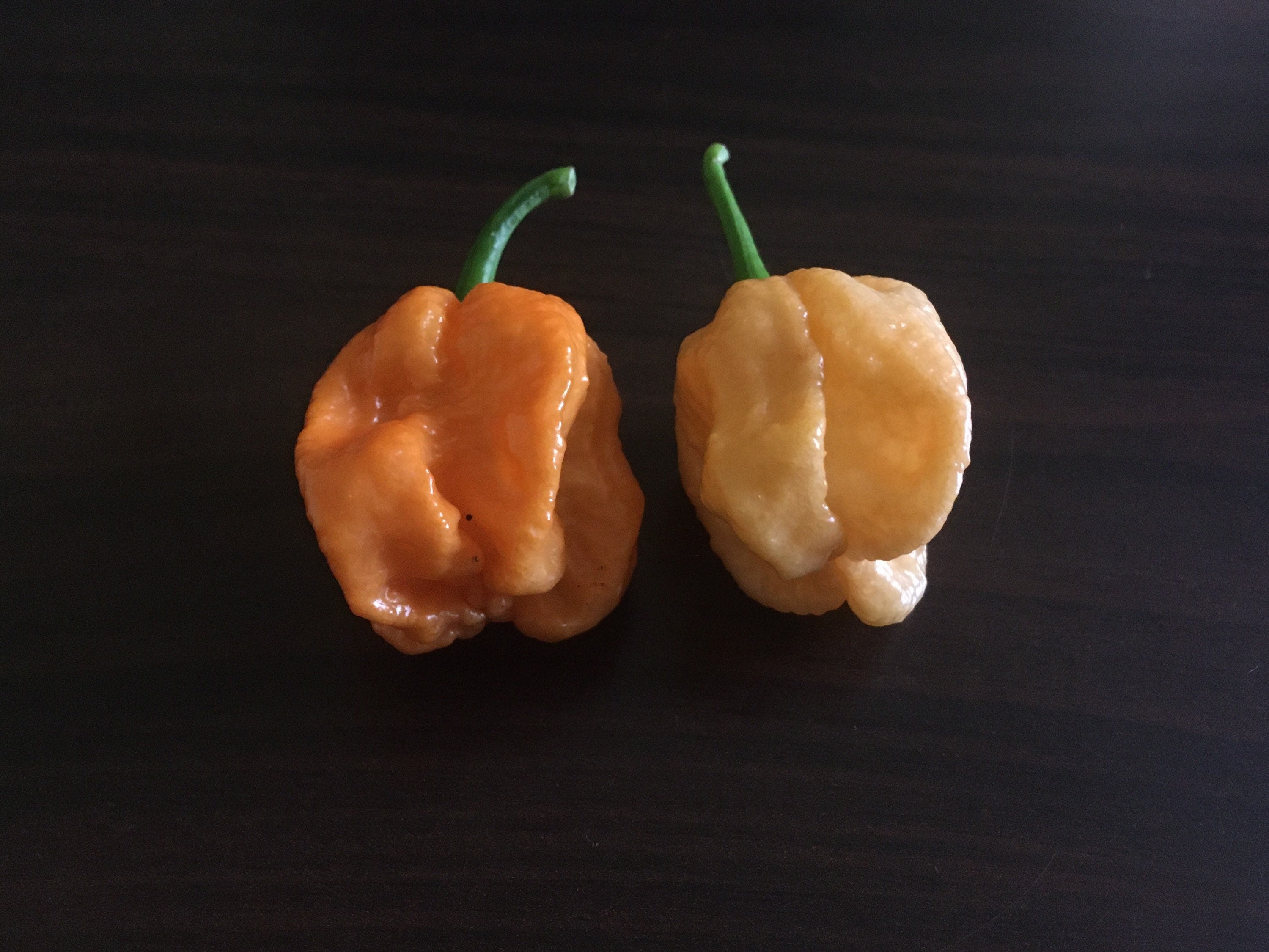 Superhot Pepper Seed Variety Pack: 25+ Unlabeled Mixed Rare Seeds
