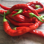 Red Long Baccatum Pepper Seeds – 20+ Open Pollinated Seeds