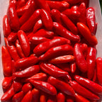 Pequin Purple Cross F2 Pepper Seeds – Hot, Open Pollinated (20+ Seeds)