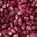 Cranberry Bush Bean Seeds- 25 + Seeds