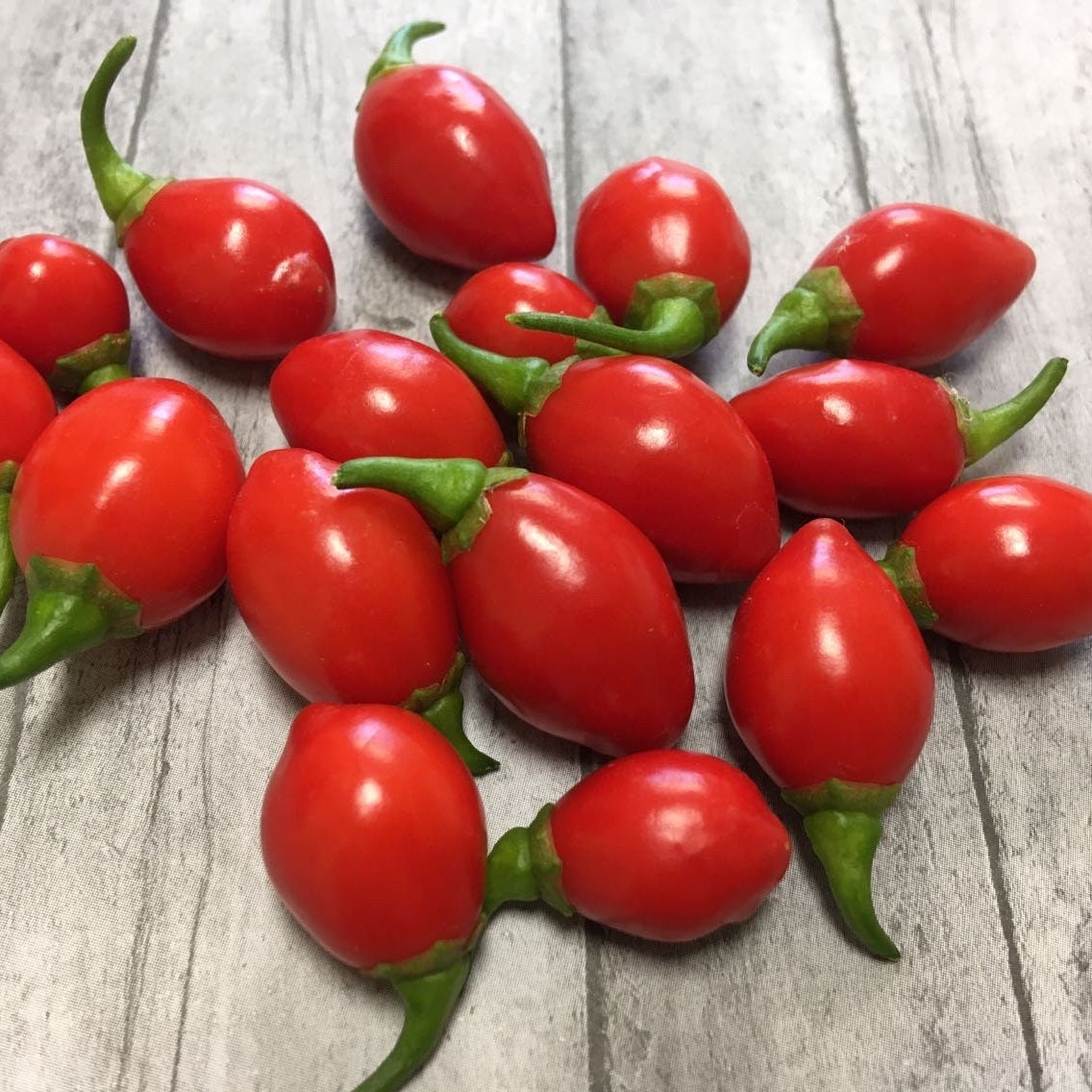Mike’s Pepper Seeds   Red chili peppers on a wooden surface