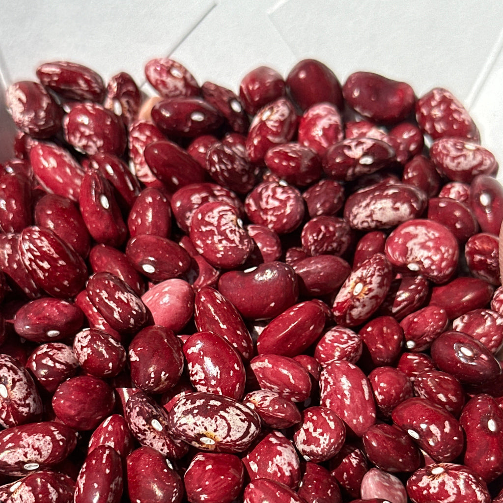 Cranberry Bush Bean Seeds- 25 + Seeds