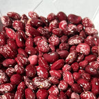 Cranberry Bush Bean Seeds- 25 + Seeds