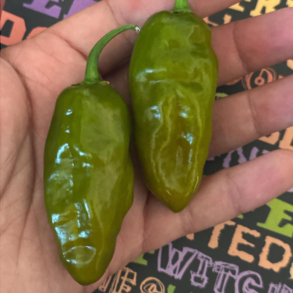 Mike’s Pepper Seeds   Two green peppers held in a hand with a colorful background