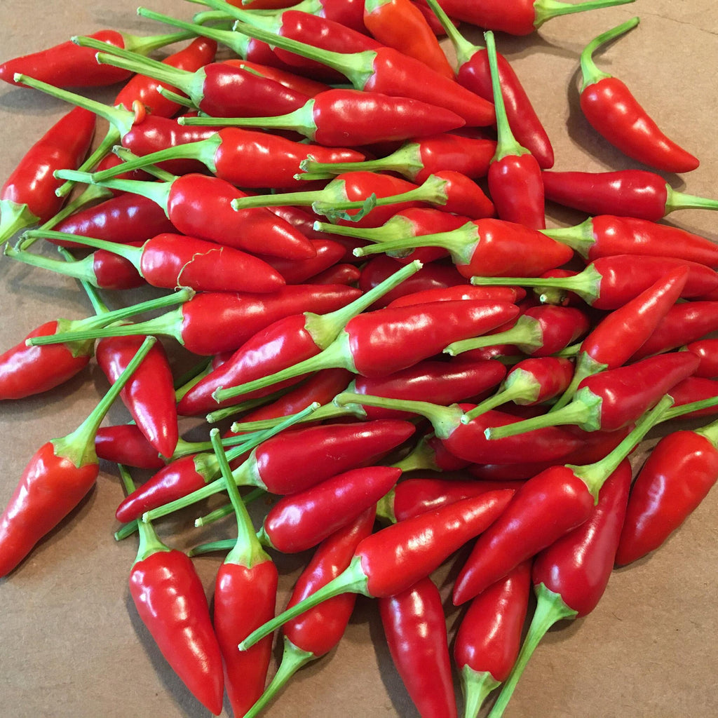 Mike’s Pepper Seeds Red chili peppers with green stems on a wooden surface