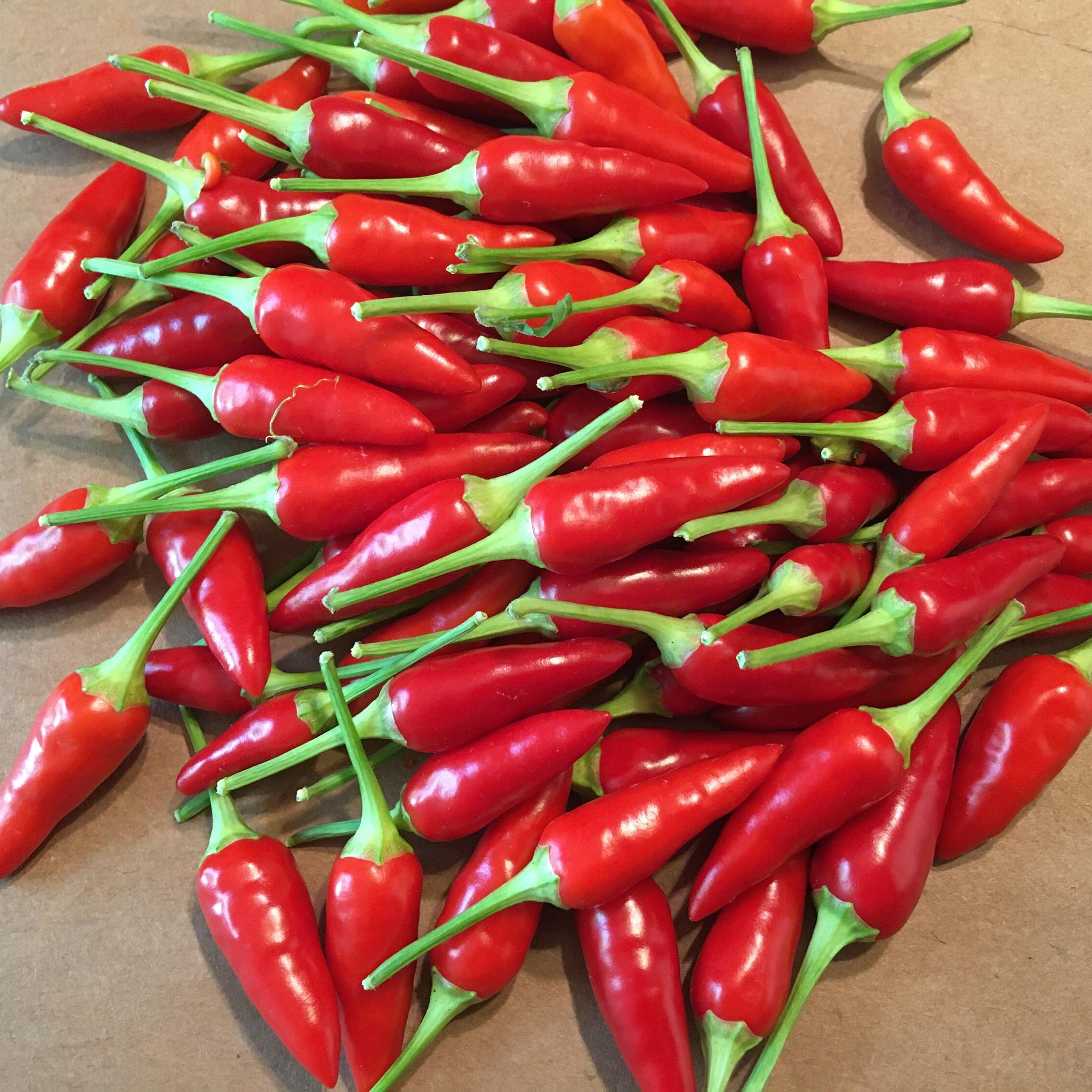 Mike’s Pepper Seeds Red chili peppers with green stems on a wooden surface