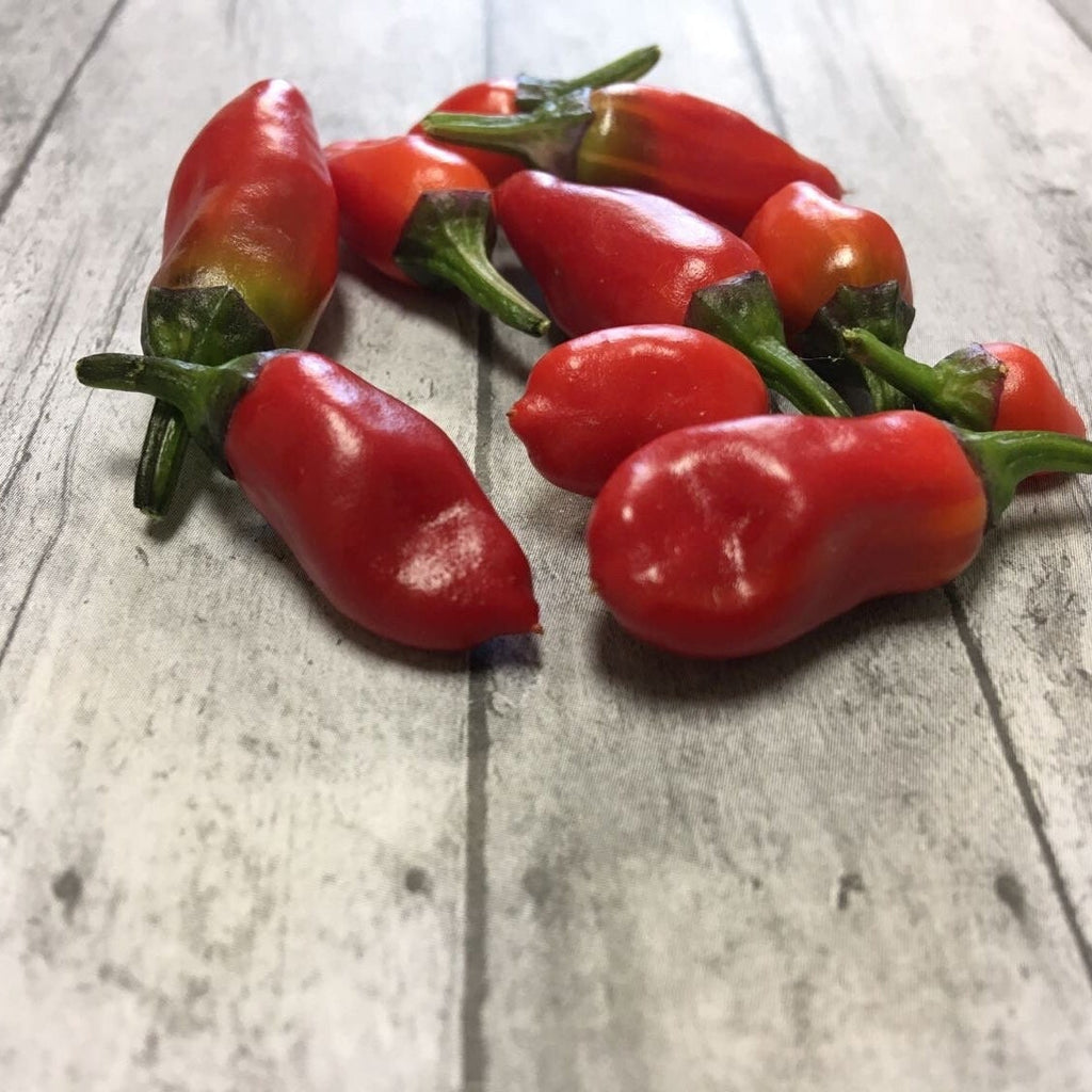 Variegated Jigsaw Pepper Seeds -   20+ Pepper Seeds