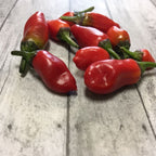 Variegated Jigsaw Pepper Seeds -   20+ Pepper Seeds