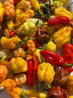 Hot Pepper Powder - 1 Ounce - Very Hot Pepper Spices, Cooking Spices