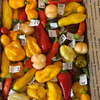 Fresh Hot Peppers -Mixed Varieties Small USPS Priority Mail Flat Rate Box