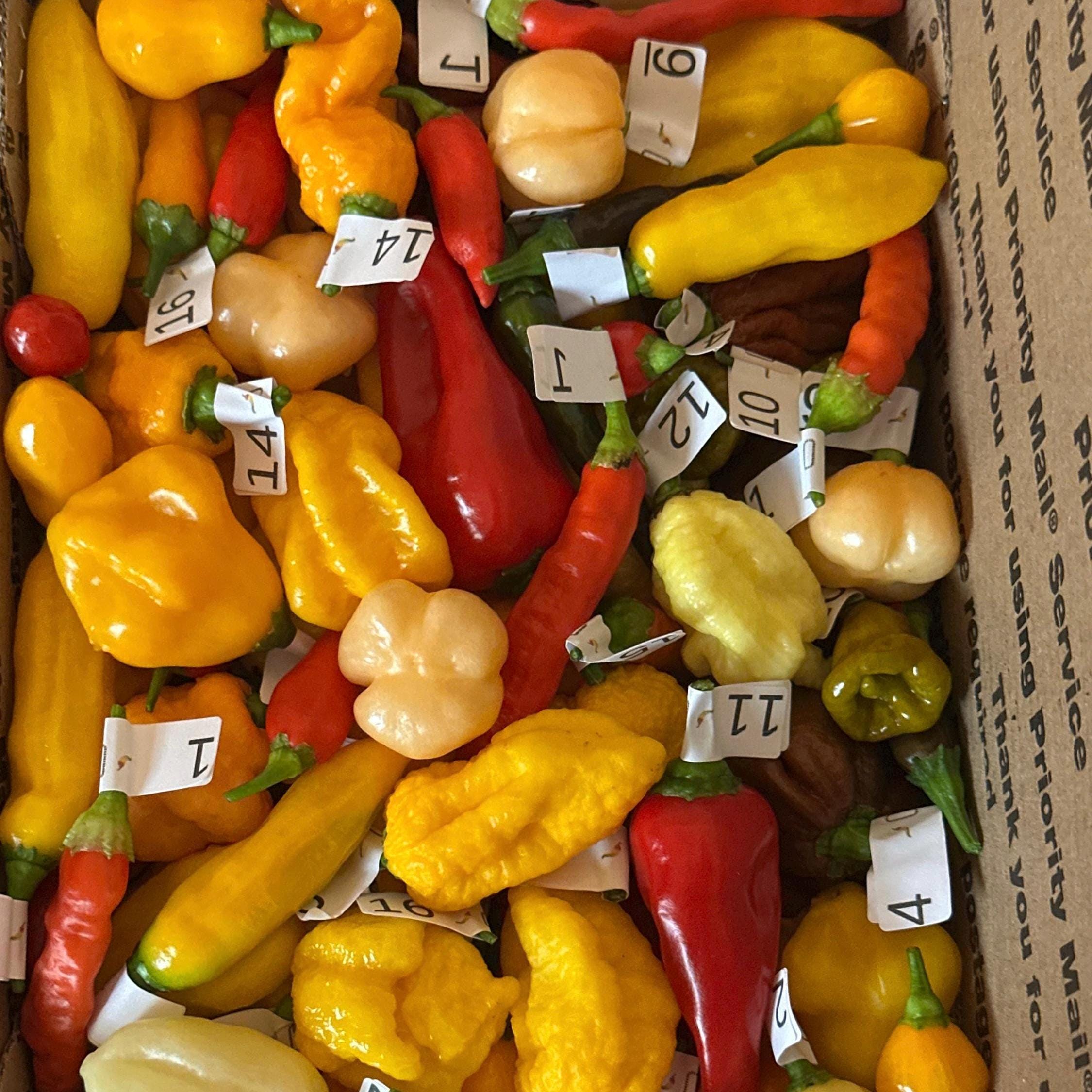 Fresh Hot Peppers -Mixed Varieties Small USPS Priority Mail Flat Rate Box