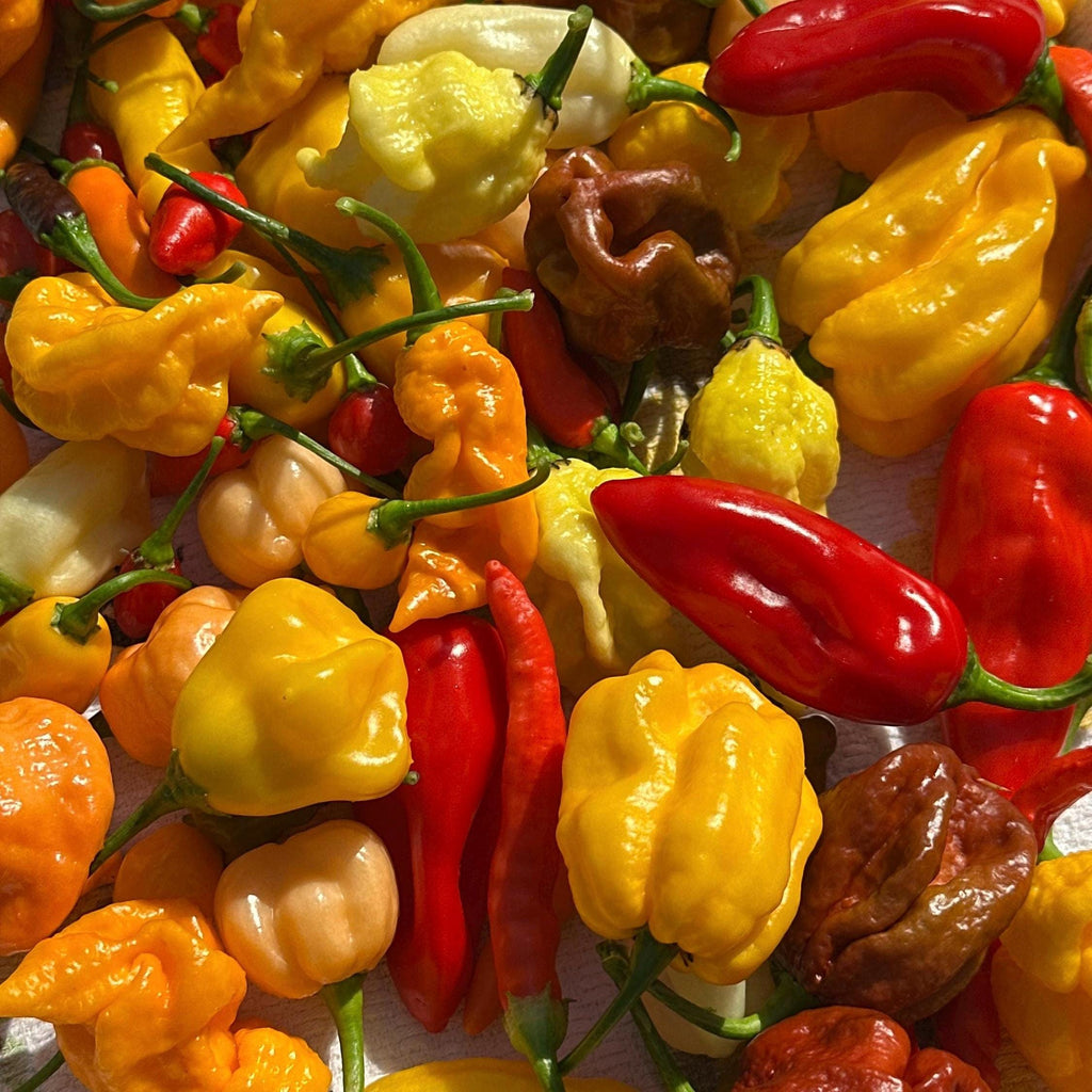 Fresh Hot Peppers -Mixed Varieties Small USPS Priority Mail Flat Rate Box