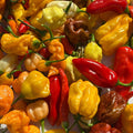Fresh Hot Peppers -Mixed Varieties Small USPS Priority Mail Flat Rate Box