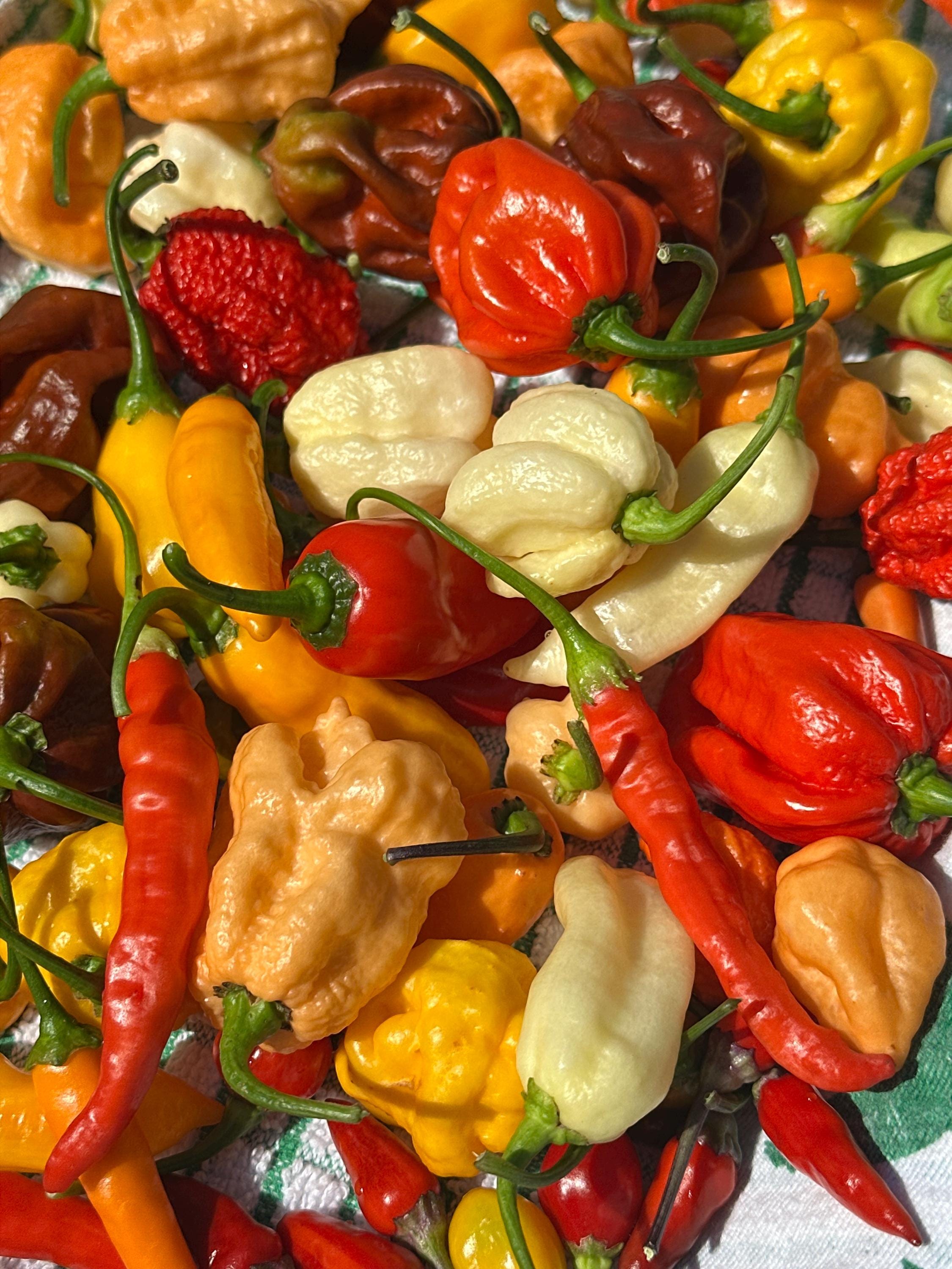 Fresh Hot Peppers -Mixed Varieties Small USPS Priority Mail Flat Rate Box