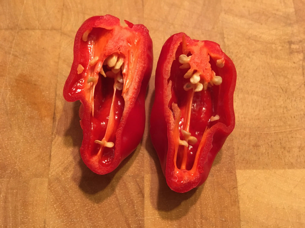Red Habanero Cross Pepper Seeds - Super-Hot Variety (20+ Seeds)