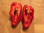 Red Habanero Cross Pepper Seeds - Super-Hot Variety (20+ Seeds)