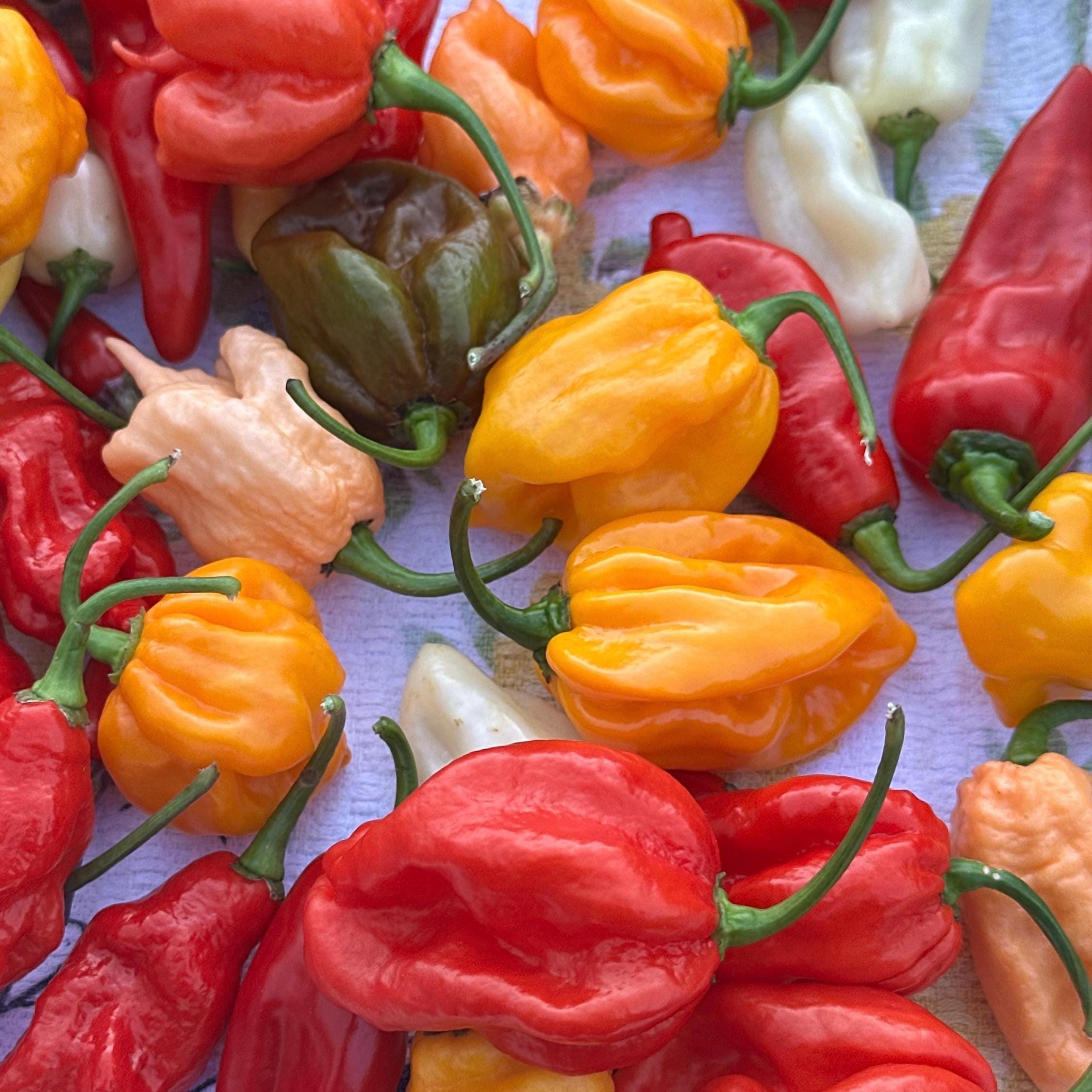 Fresh Hot Peppers -Mixed Varieties Small USPS Priority Mail Flat Rate Box