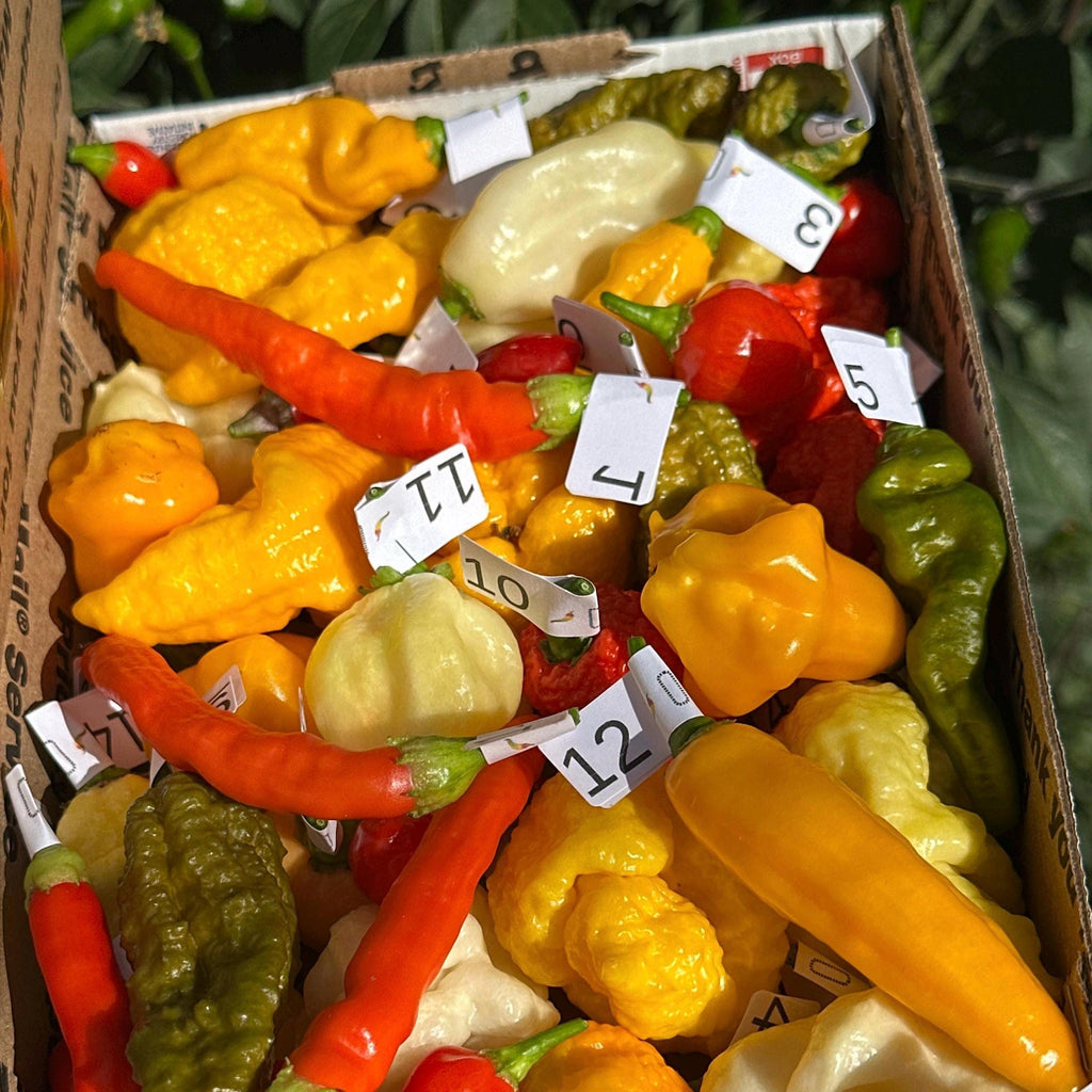 Fresh Hot Peppers -Mixed Varieties Small USPS Priority Mail Flat Rate Box