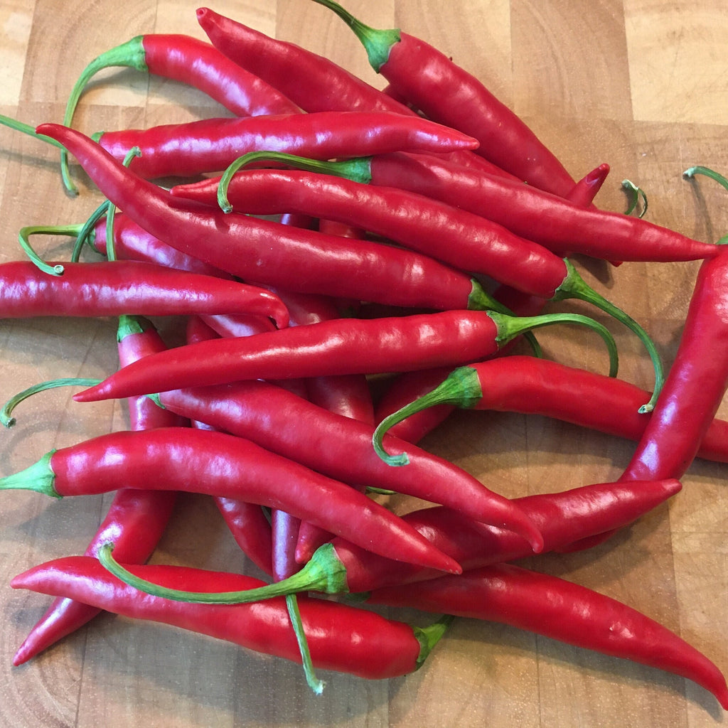 Thai Hot Pepper Seeds -   20+ Hot Pepper Seeds
