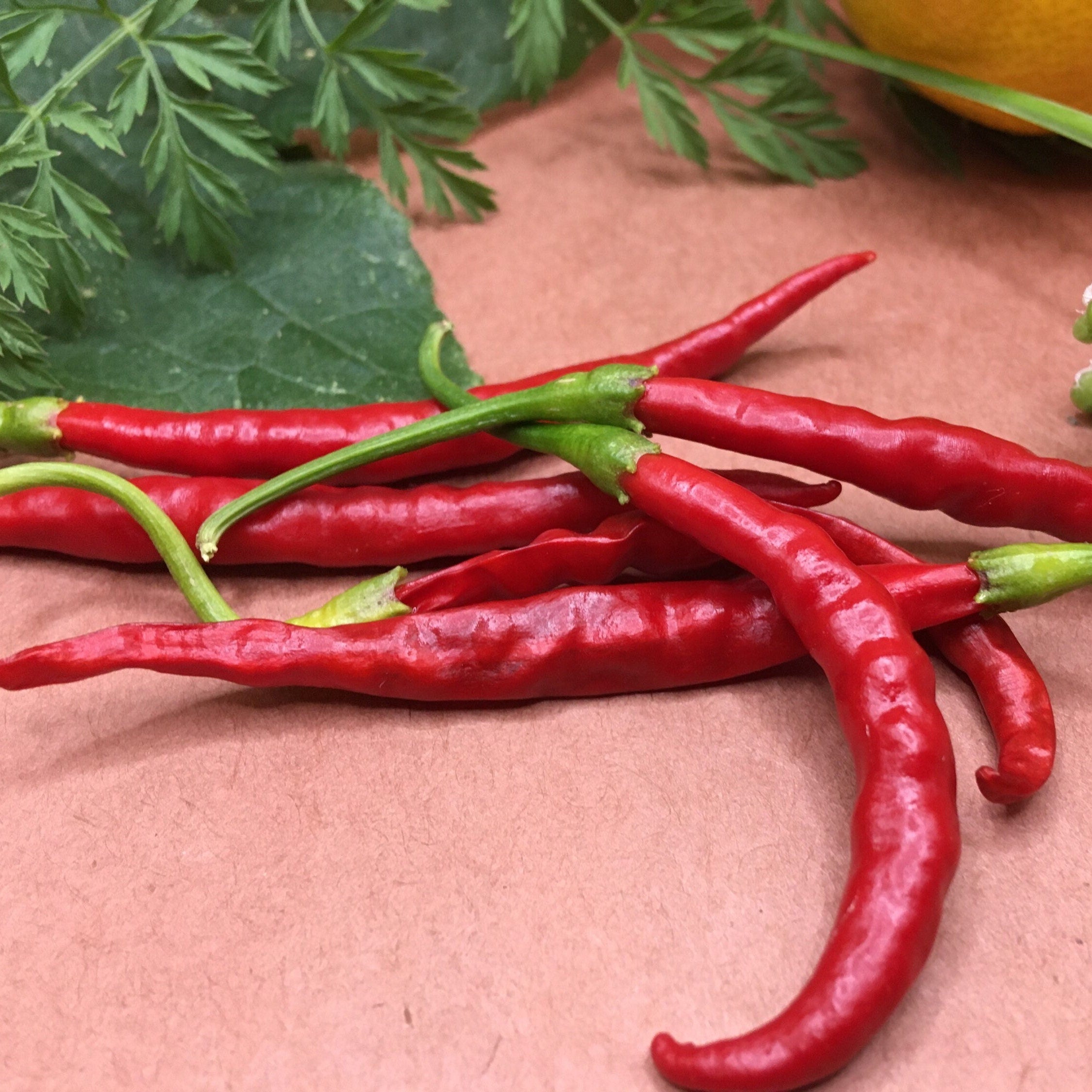Thai Hot Pepper Seeds -   20+ Hot Pepper Seeds