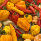 Fresh Hot Peppers -Mixed Varieties Small USPS Priority Mail Flat Rate Box
