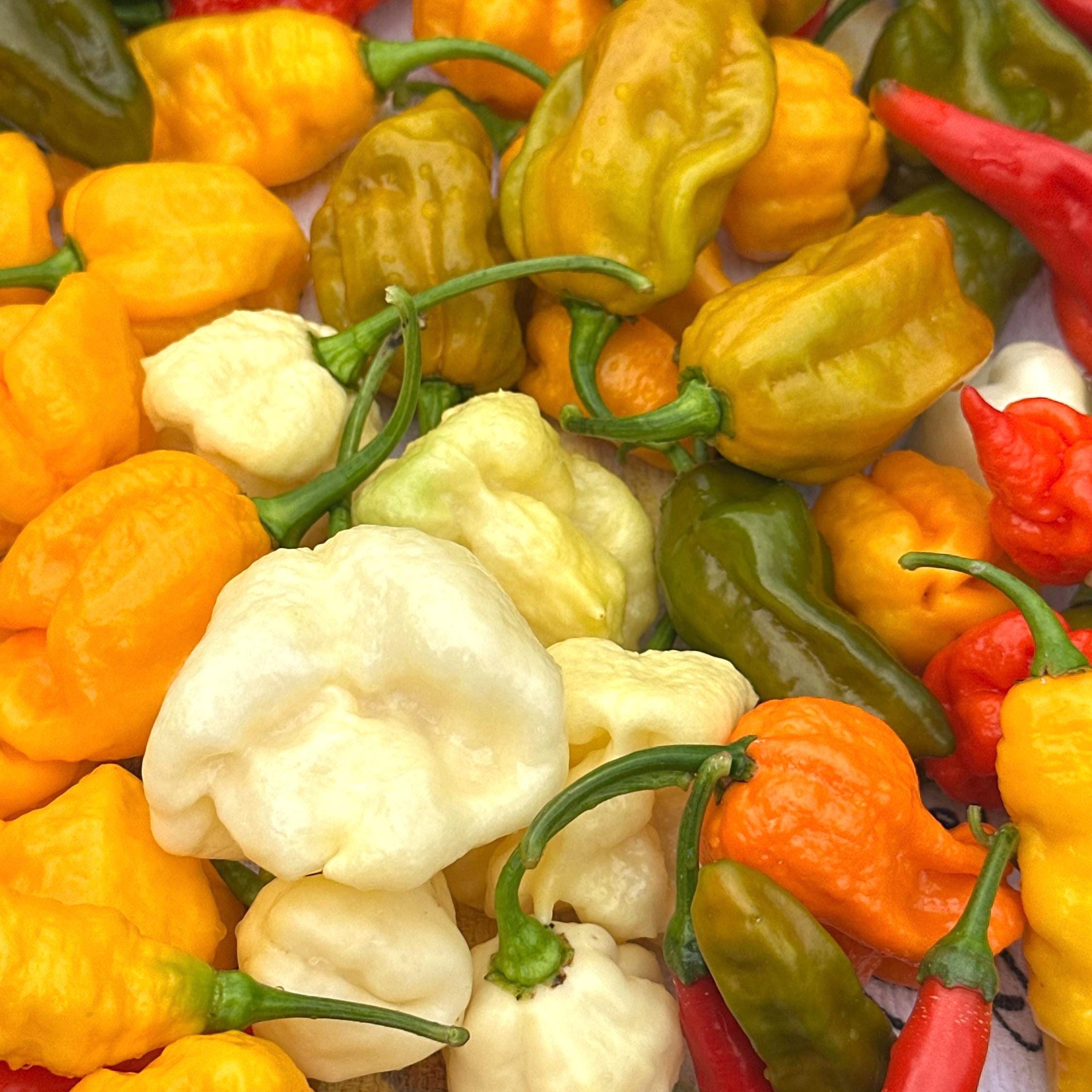 Hot Pepper Powder - 1 Ounce - Very Hot Pepper Spices, Cooking Spices