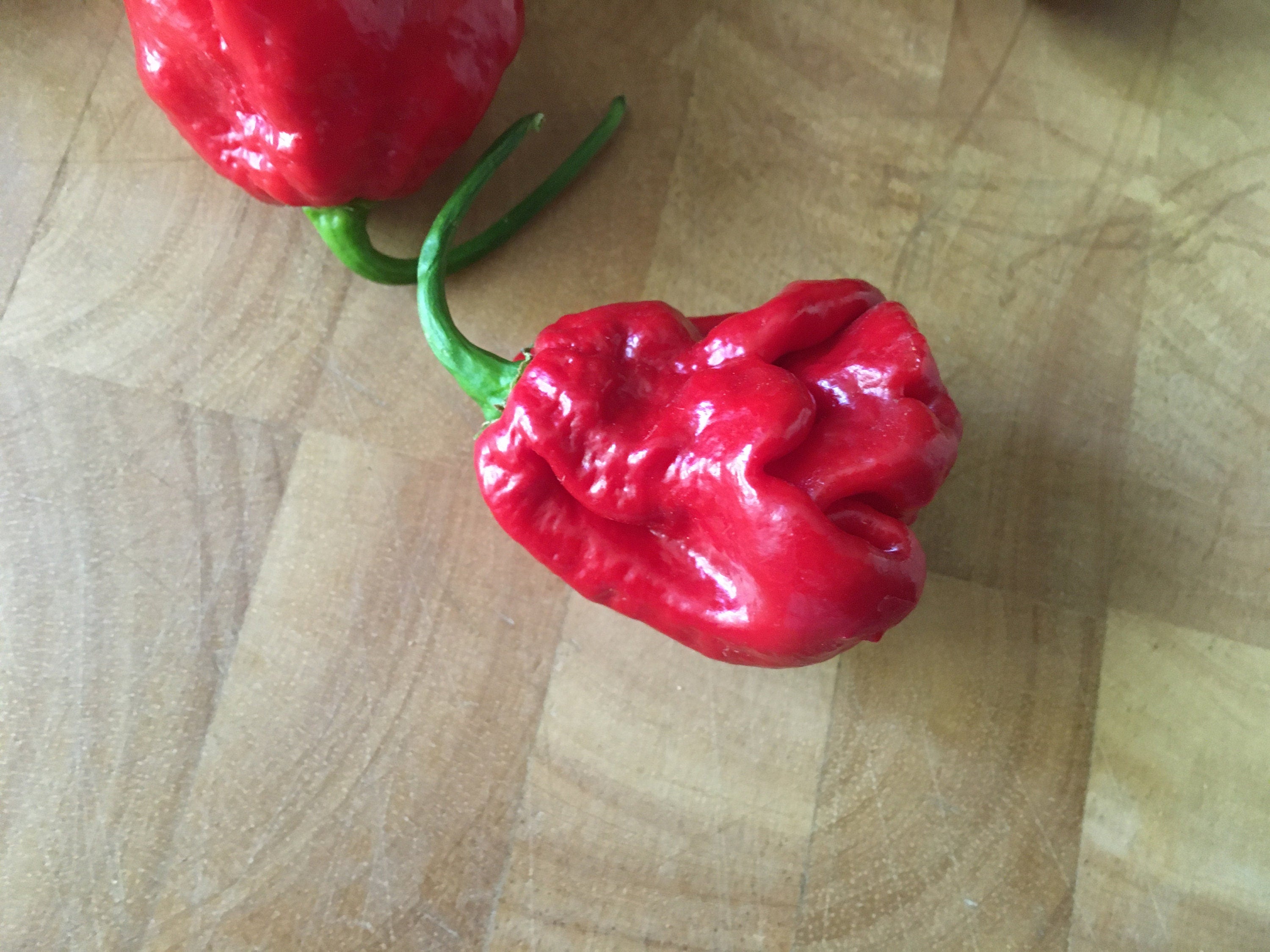 Red Habanero Cross Pepper Seeds - Super-Hot Variety (20+ Seeds)