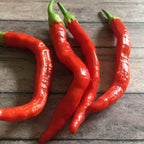 Red Long Baccatum Pepper Seeds – 20+ Open Pollinated Seeds