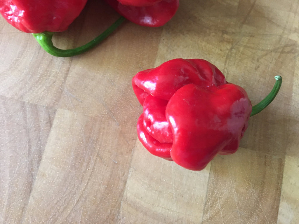 Red Habanero Cross Pepper Seeds - Super-Hot Variety (20+ Seeds)