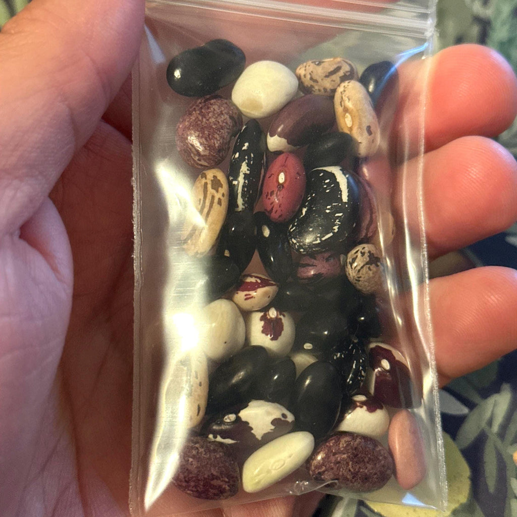 Dry Pole Bean Seeds- Mikes colorful mix, Pole bean Assortment- 25 + Seeds
