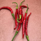 Thai Hot Pepper Seeds -   20+ Hot Pepper Seeds