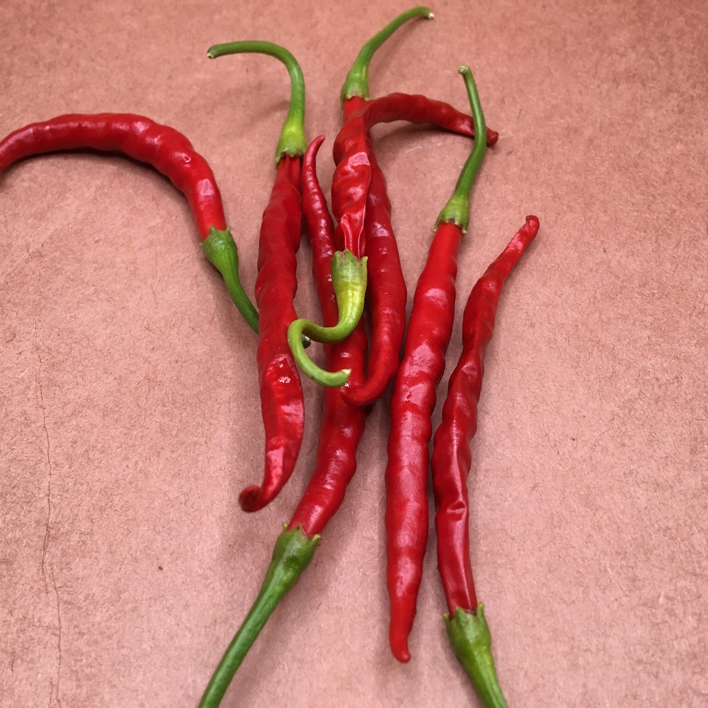 Thai Hot Pepper Seeds -   20+ Hot Pepper Seeds