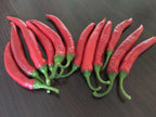 Fat Cayenne PepperSeeds -   20+ Hot Pepper Seeds
